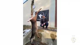 Hook & Hunting: FPS Archery in Cadillac ends ‘Biggest Doe Contest’ with 112 pound doe winner
